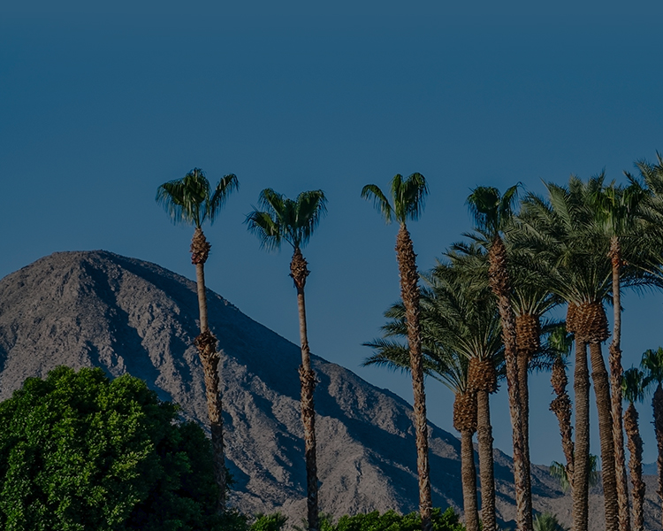 Photograph of Palm Springs